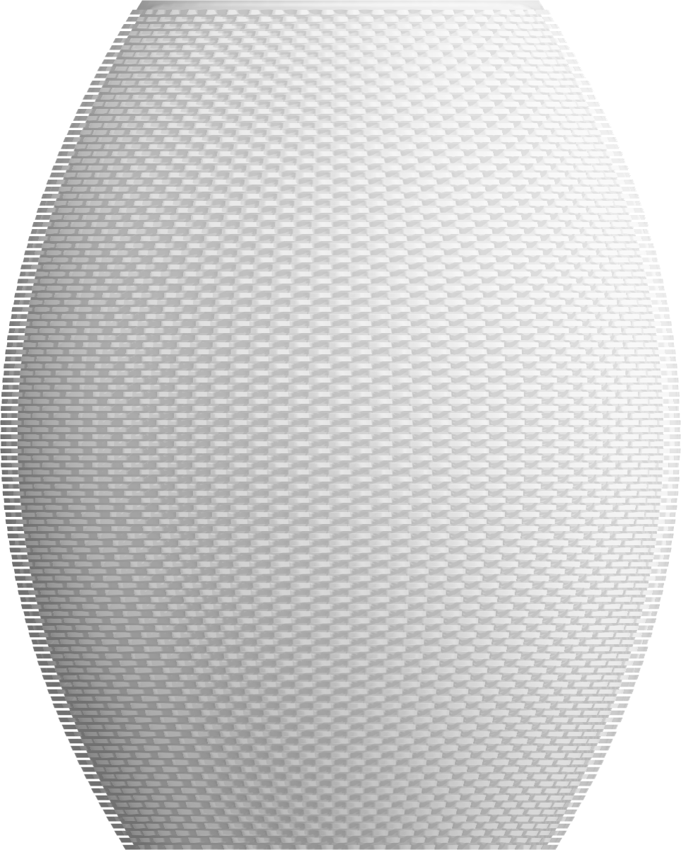 OLIVA